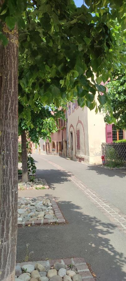 Bed and Breakfast Cour Sud à Rouffach Extérieur photo